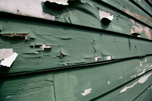 Best Shed Removal  in San Leandro, CA